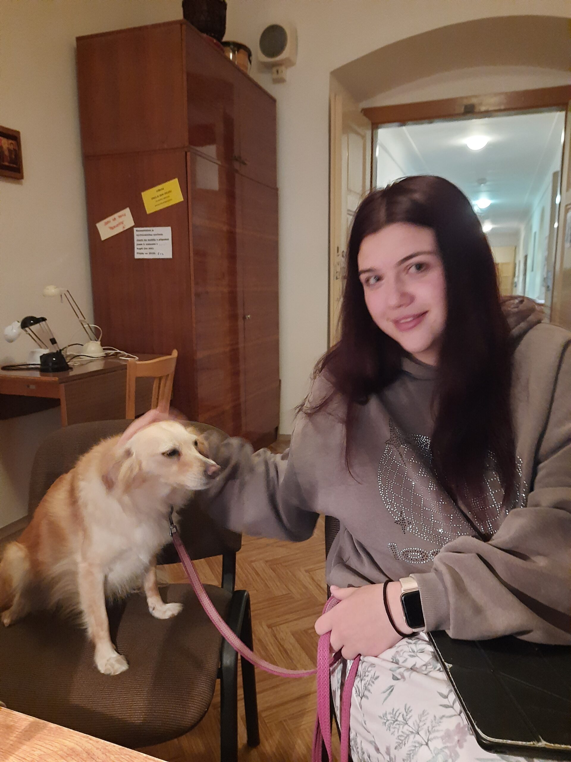 Italština a den zvířat